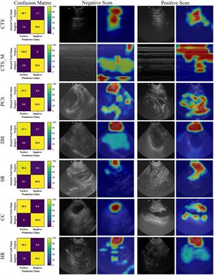Deep learning models for interpretation of point of care ultrasound in military working dogs